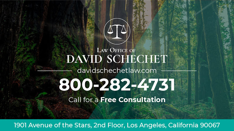 259766 law office of david schechet
