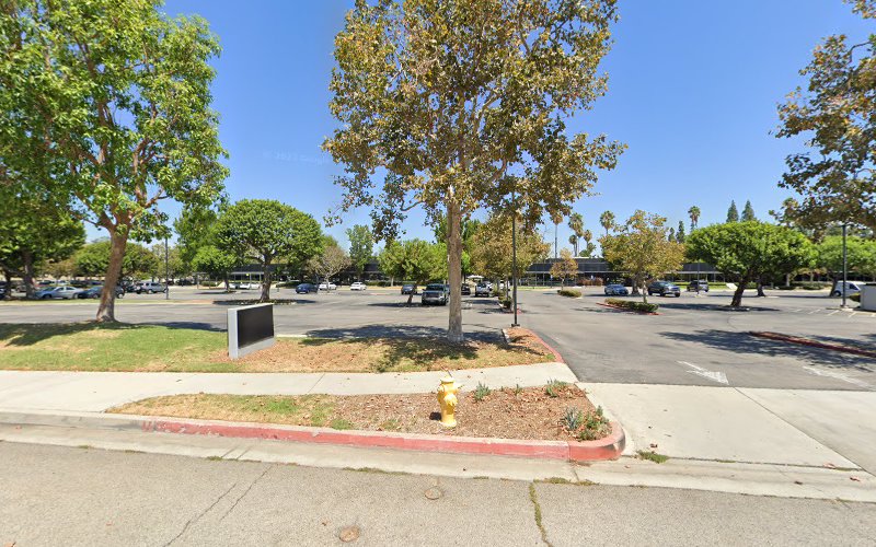 260588 law office of ellen levin pc