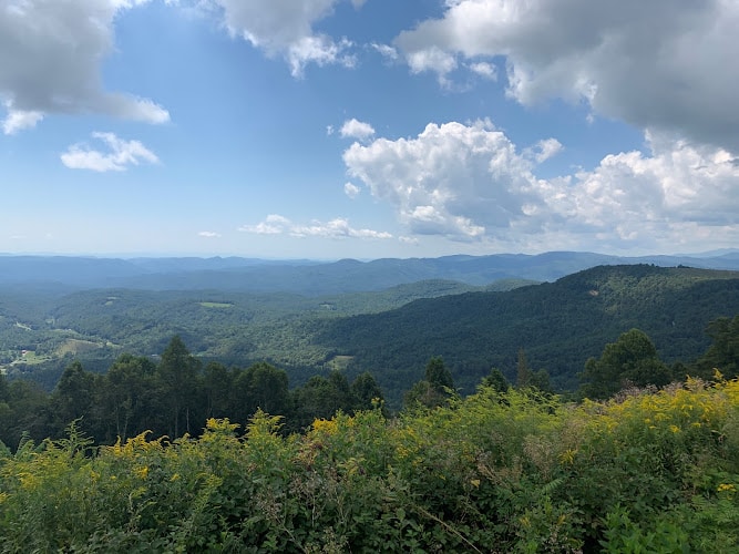 263205 law office of jill m. dawkins pllc