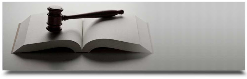 263709 law office of johnny lai inc