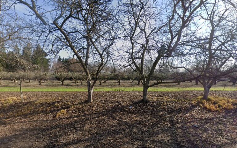 264661 law office of kenneth r. hedberg 768x480