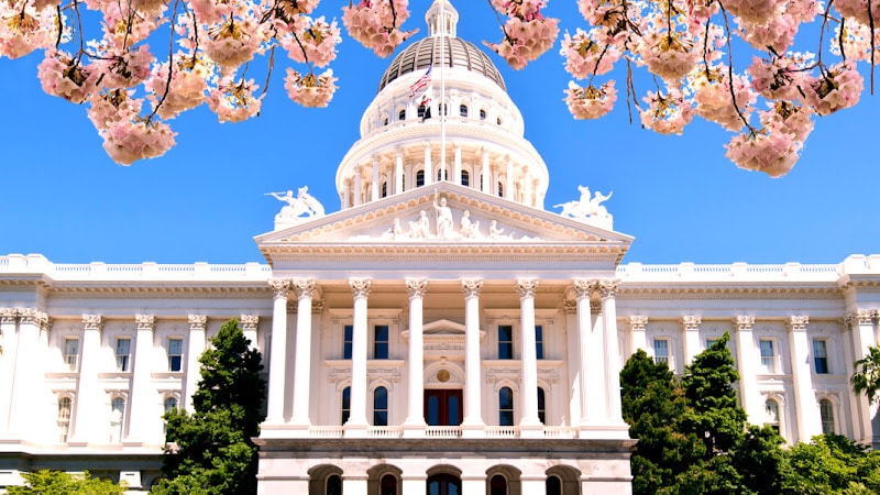 265295 law office of leo g. barone jr