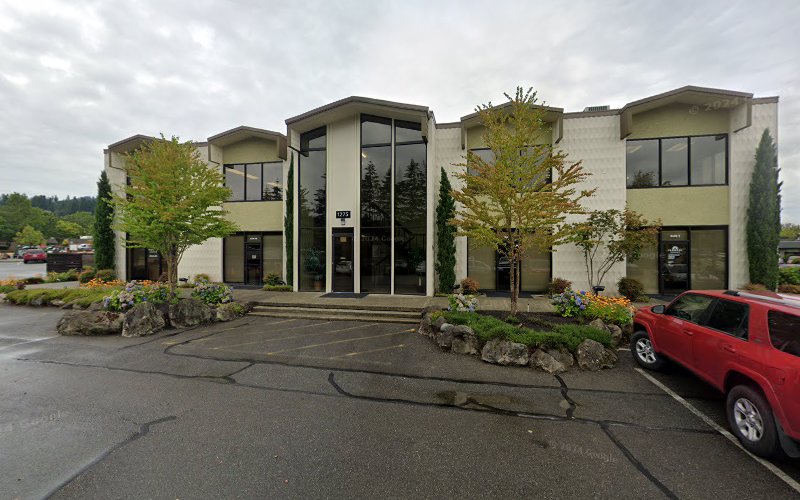 265925 law office of maria t. greene pllc