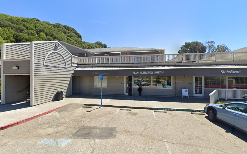 265973 law office of mario andrews