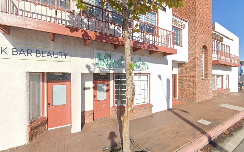 267029 law office of michael l. guisti