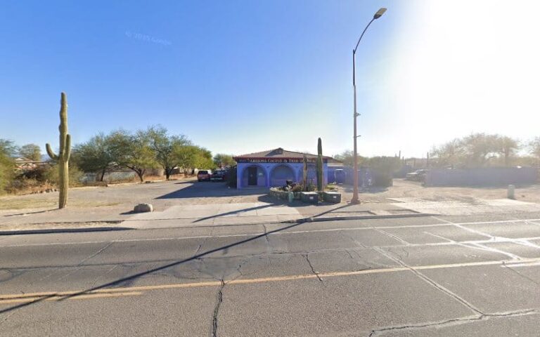 267916 law office of patricia 8220pogo8221 overmeyer 768x480