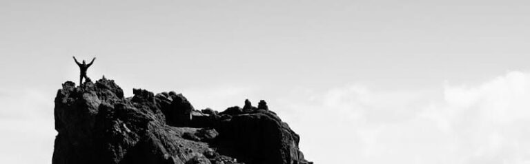 271267 law office of terence j. everitt 768x238