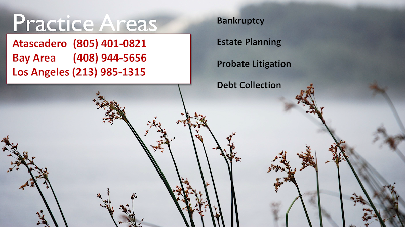 273001 law offices of adele schneidereit