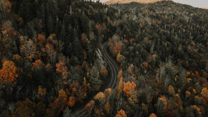 Feature image