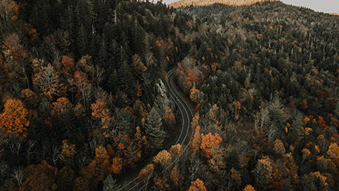 Feature image