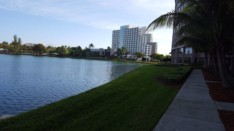 274409 law offices of carlos cruanes p.a 768x432