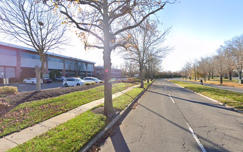 274902 law offices of cophen e sears iii