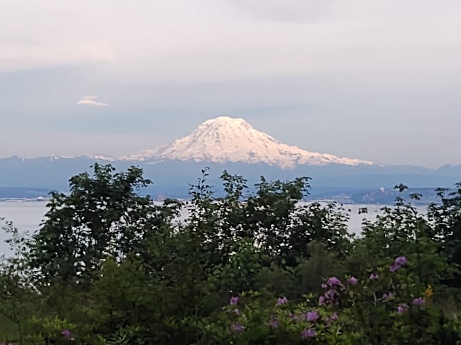 274981 law offices of cynthia anne kennedy pllc