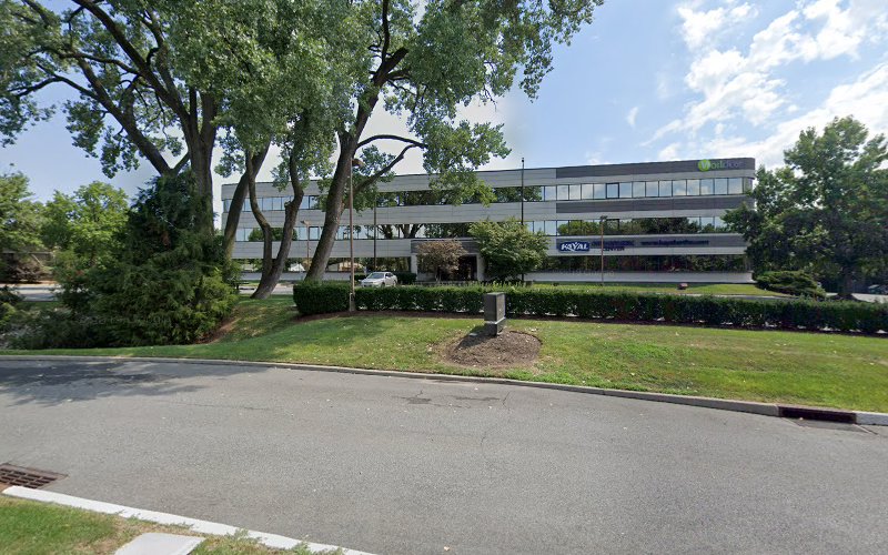 275594 law offices of david j. finkler p.c