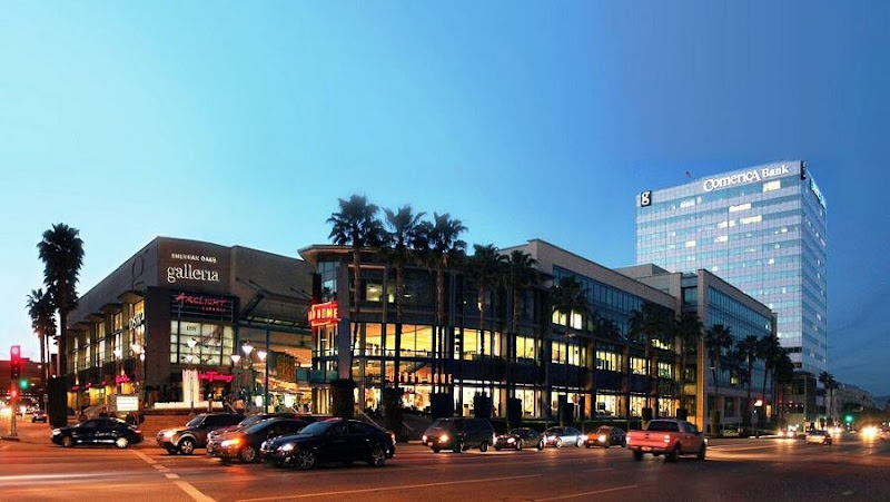 276314 law offices of elaine o. san juan