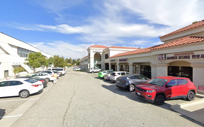 278119 law offices of james s. hong associates