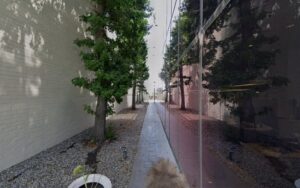 Feature image