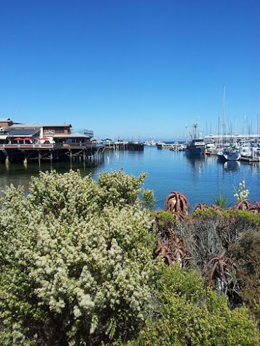 279039 law offices of john r. coniglio