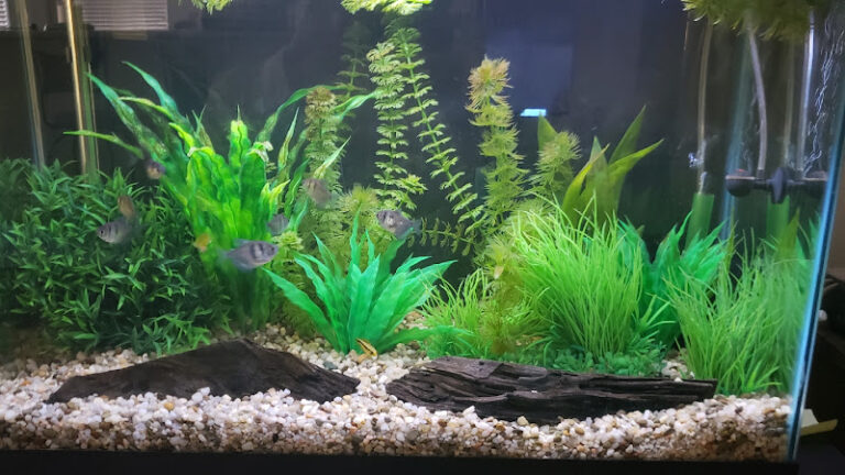 279417 law offices of joseph s. farina 768x432