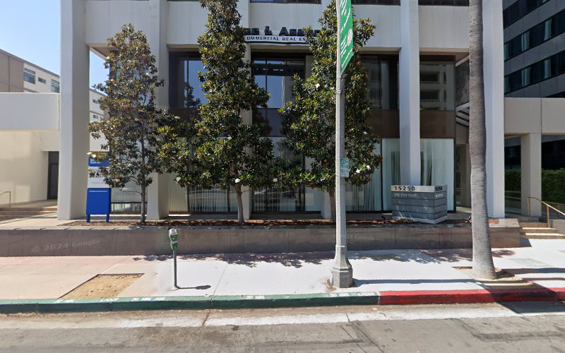 280447 law offices of lior sadgan