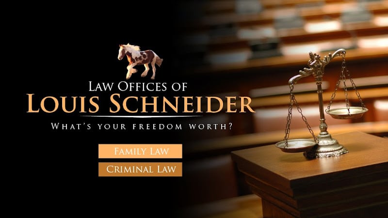 280534 law offices of louis schneider