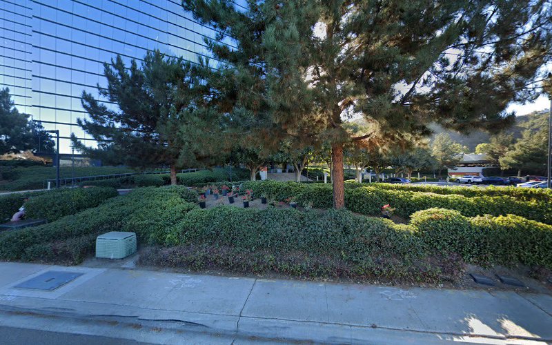 281324 law offices of michael a. scafiddi inc