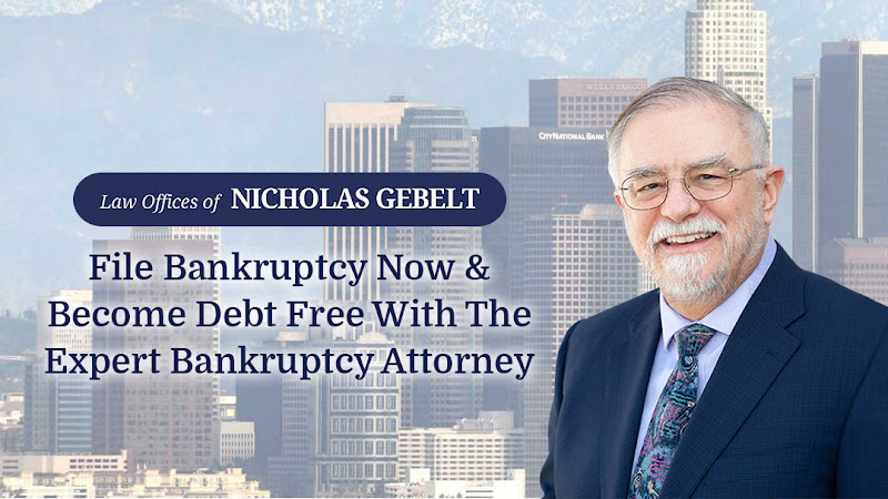 282036 law offices of nicholas gebelt