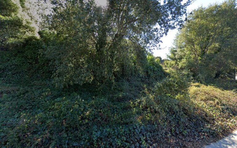 282255 law offices of patricia l. suda 768x480