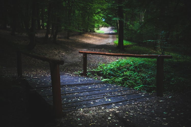 Featured image