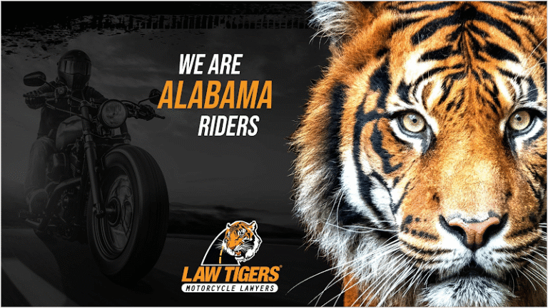 285853 law tigers 768x433