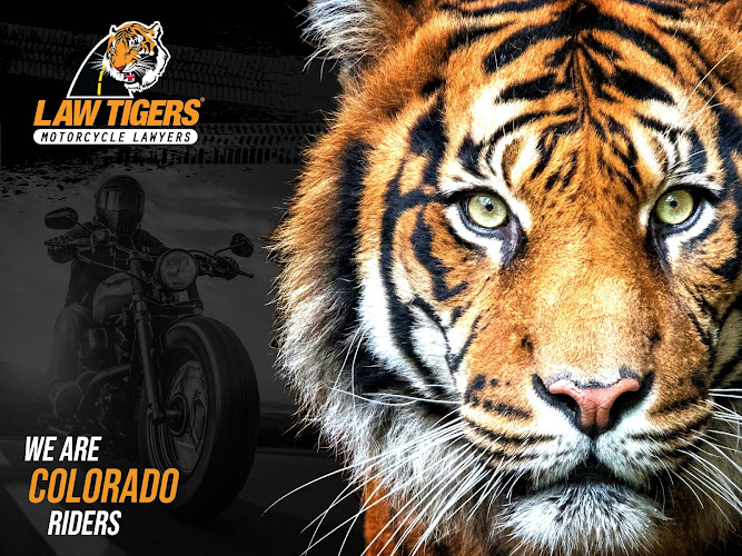 285859 law tigers