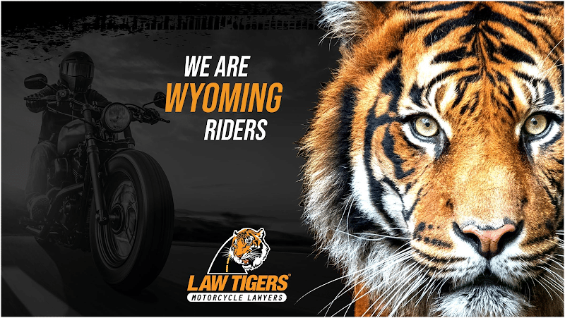 285863 law tigers