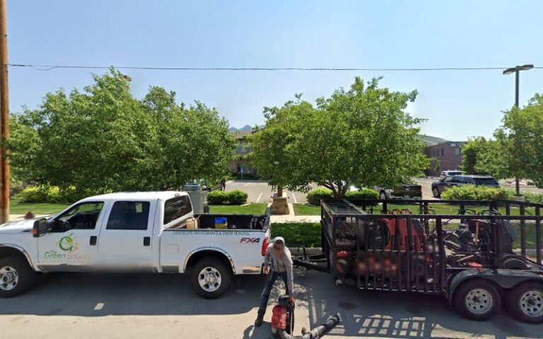 285936 law zebra 768x480