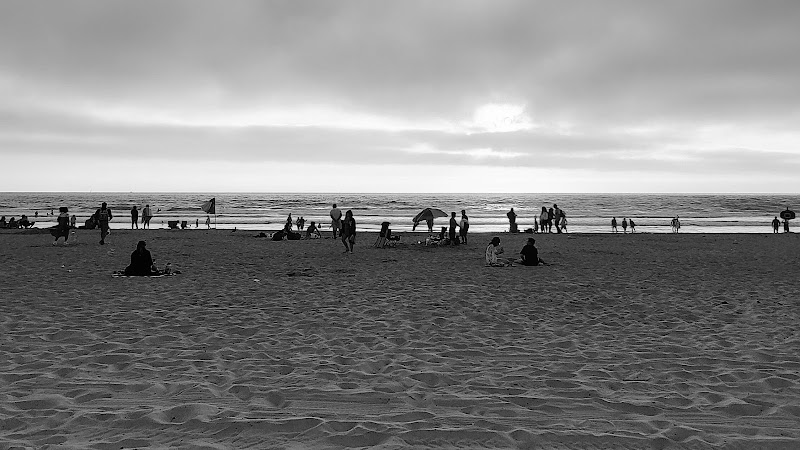 286681 lawyer of san diego