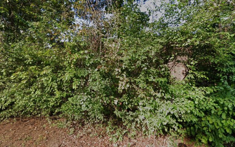 286794 lawyers for american vets 768x480