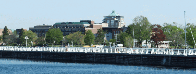 288292 legacy legal group 768x290