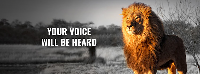 288793 legal lion employment law firm pllc
