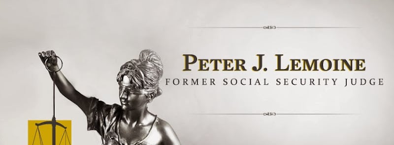 289598 lemoine law firm 8211 peter lemoine