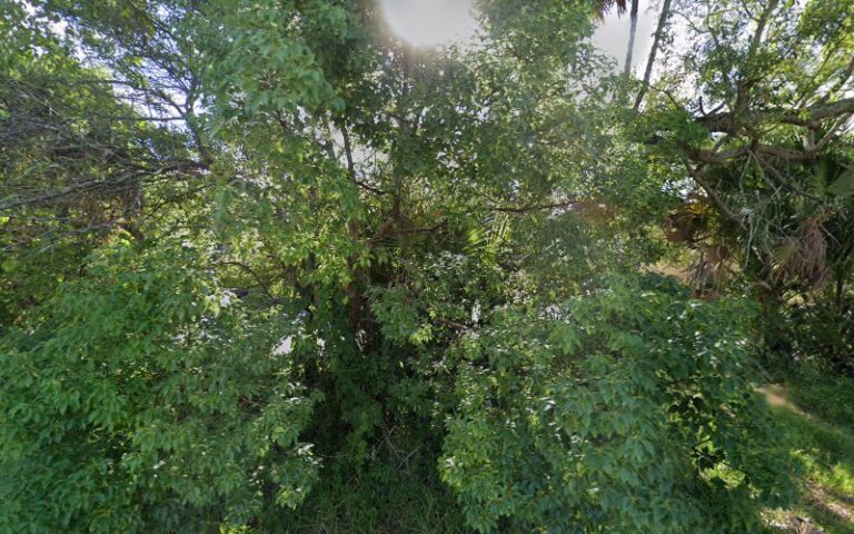 289749 lens law 768x480