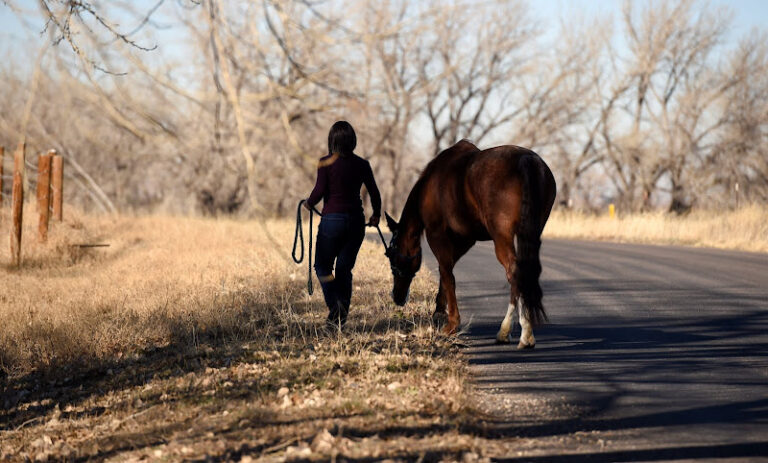 289757 lent parker law llc 768x463