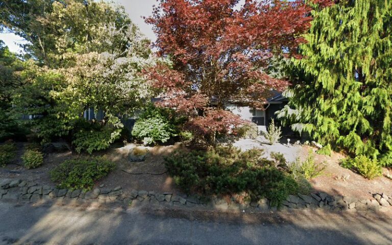 290059 leonard semenea law offices ps 768x480