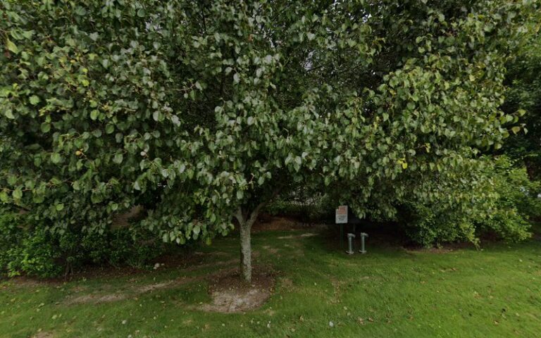 290191 lepizzera laprocina 768x480