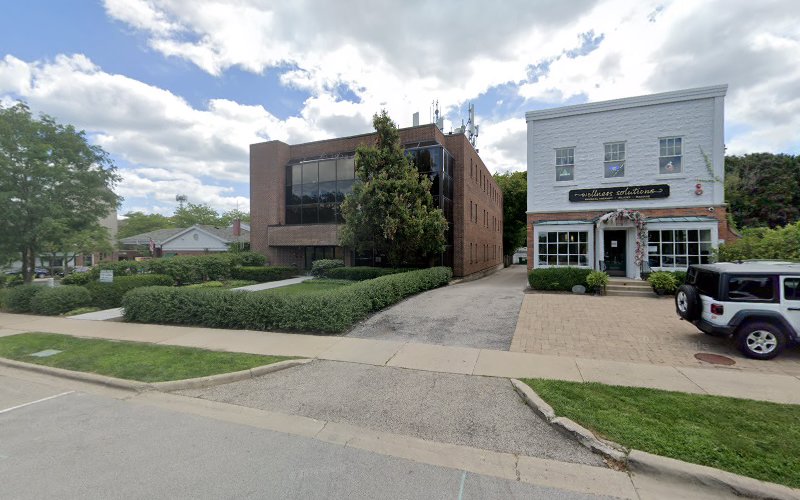 290581 lesser lutrey pasquesi howe llp