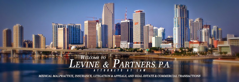 290959 levine partners pa