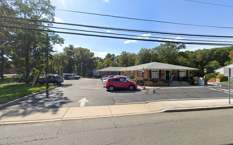 291040 levine furman rubin llc