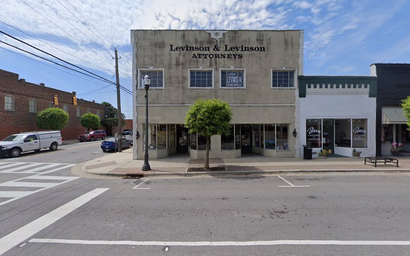 291105 levinson lee