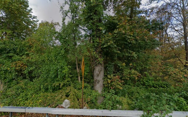 291111 levinson scott s 768x480