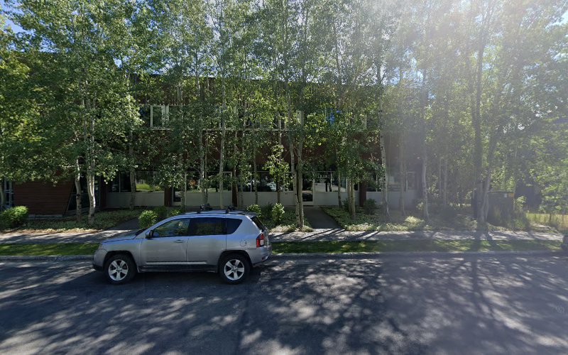 291217 levy coleman llp