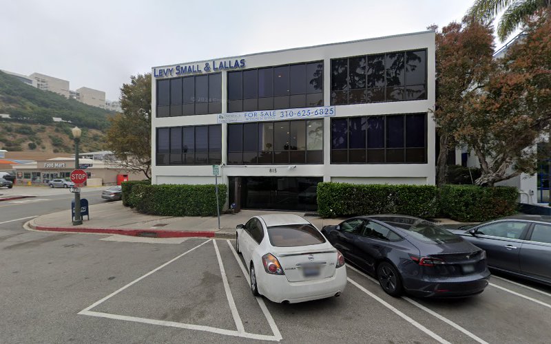 291289 levy small lallas