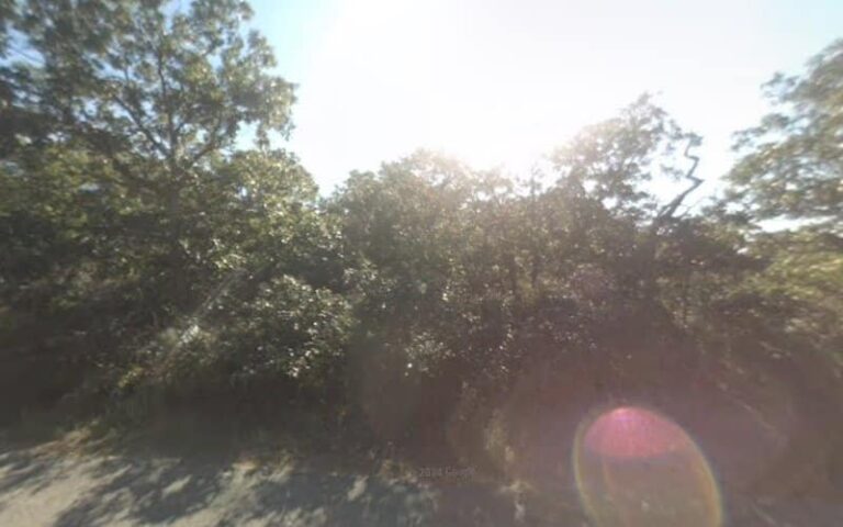 292255 lieberman kenneth 768x480